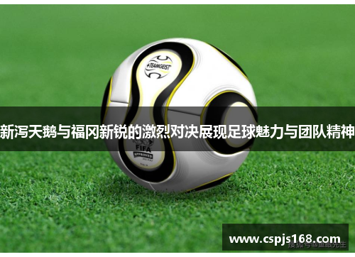 新泻天鹅与福冈新锐的激烈对决展现足球魅力与团队精神